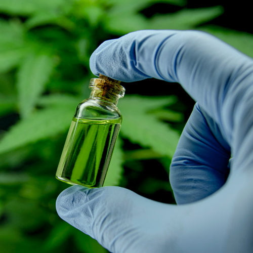 Profissional de laboratório segura ampola com extrato de óleo de cannabis.